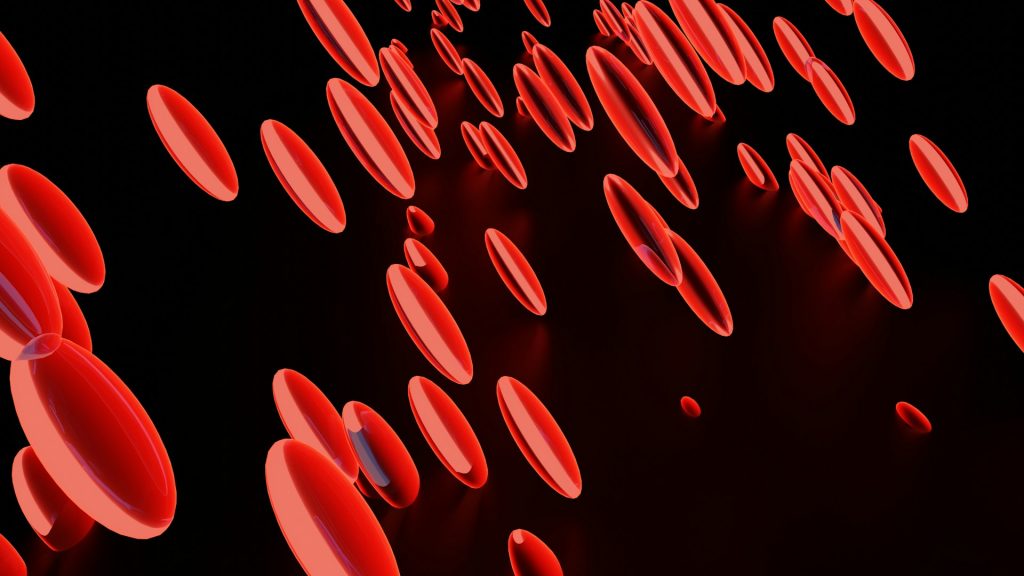 ilustrasi sel darah merah