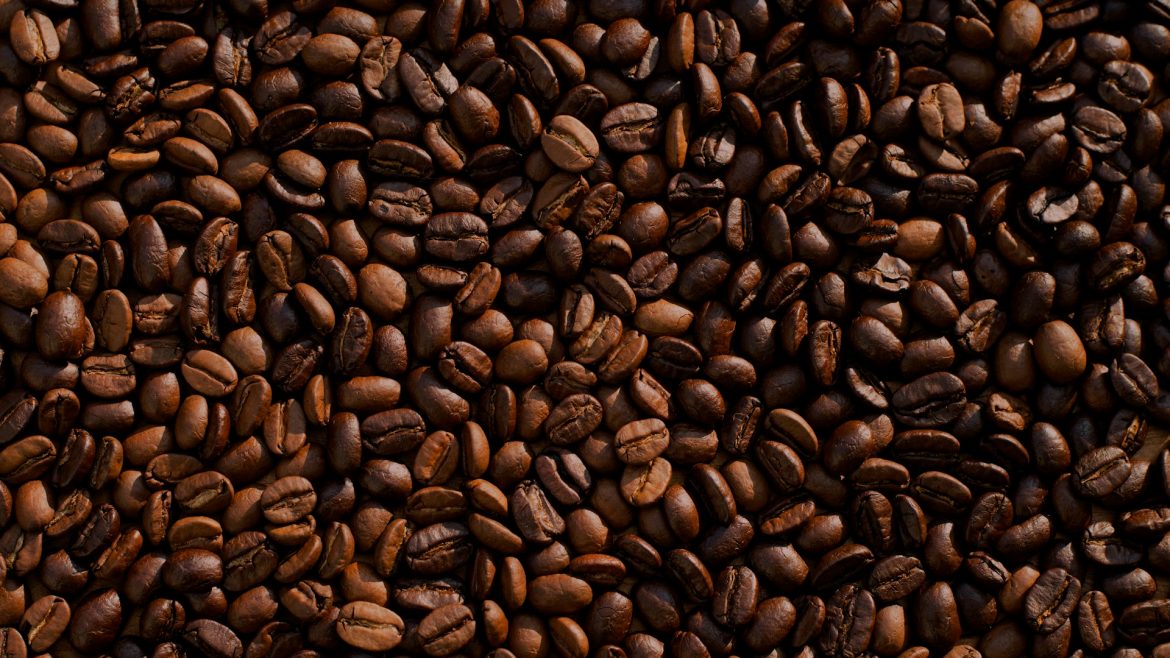 bijih kopi
