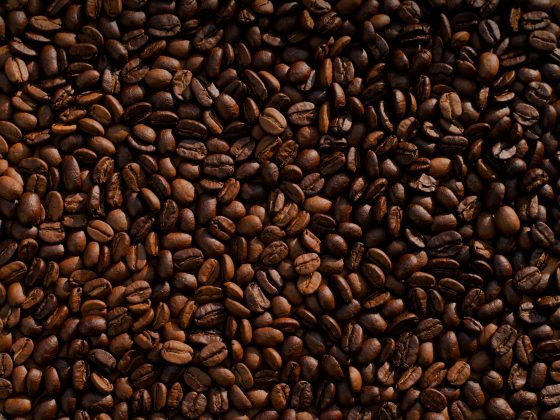 bijih kopi