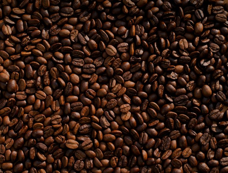 bijih kopi